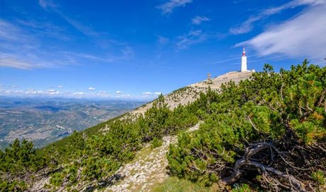 Acquérir un bien d’exception près du mont Ventoux à Vaison-la-Romaine.